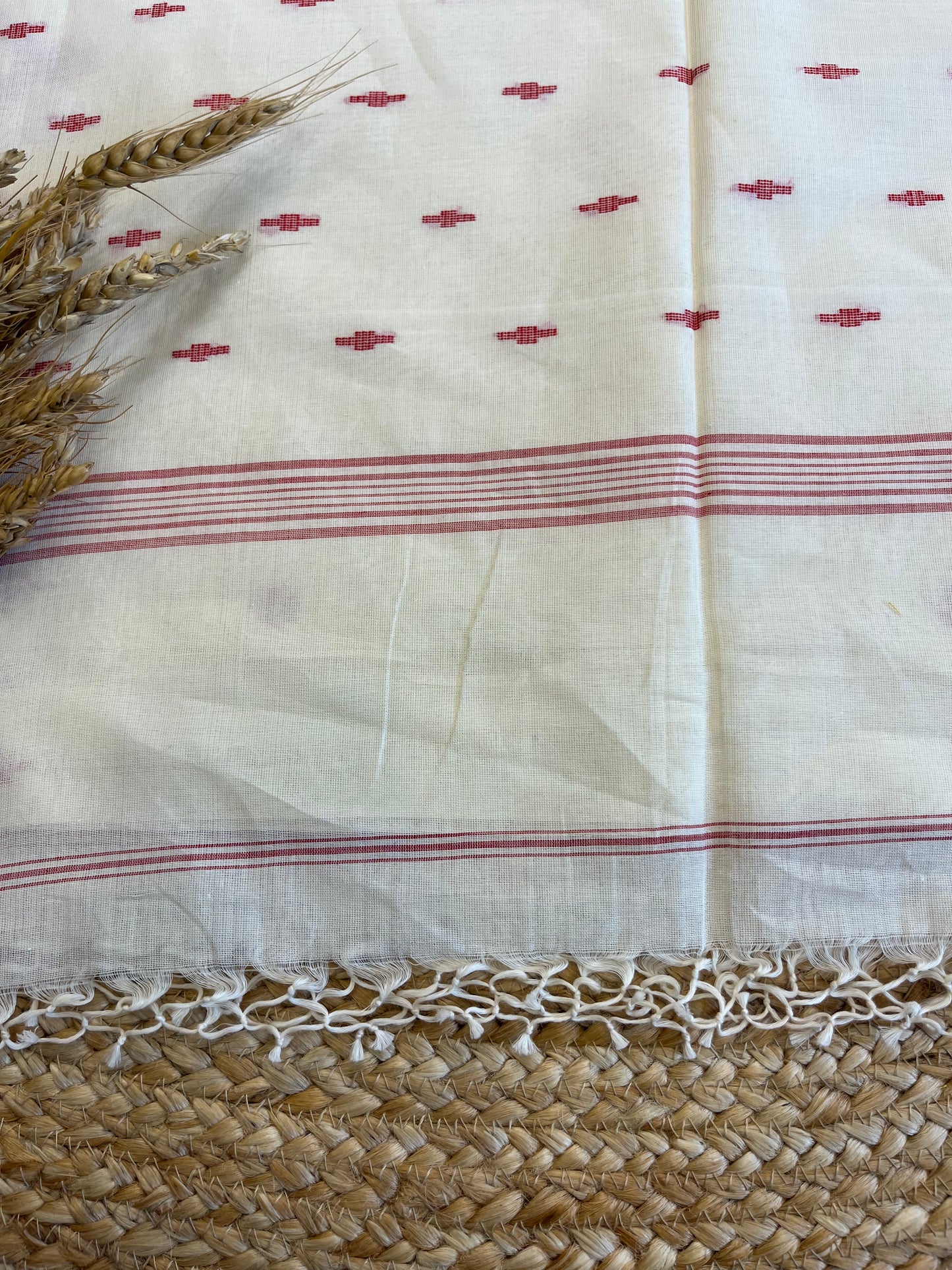 Timeless Treasure Cotton Saree - WEVOW