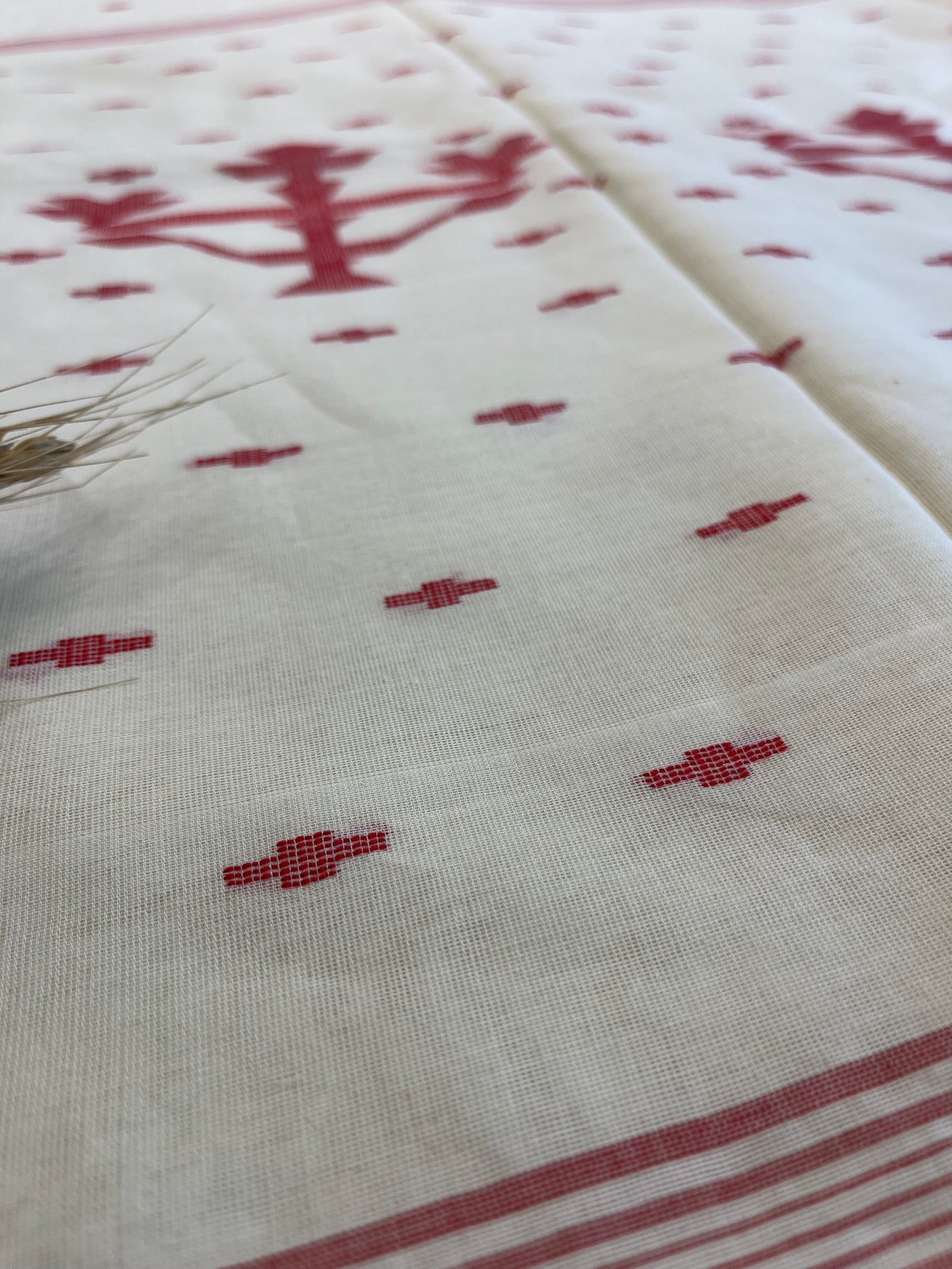 Timeless Treasure Cotton Saree - WEVOW