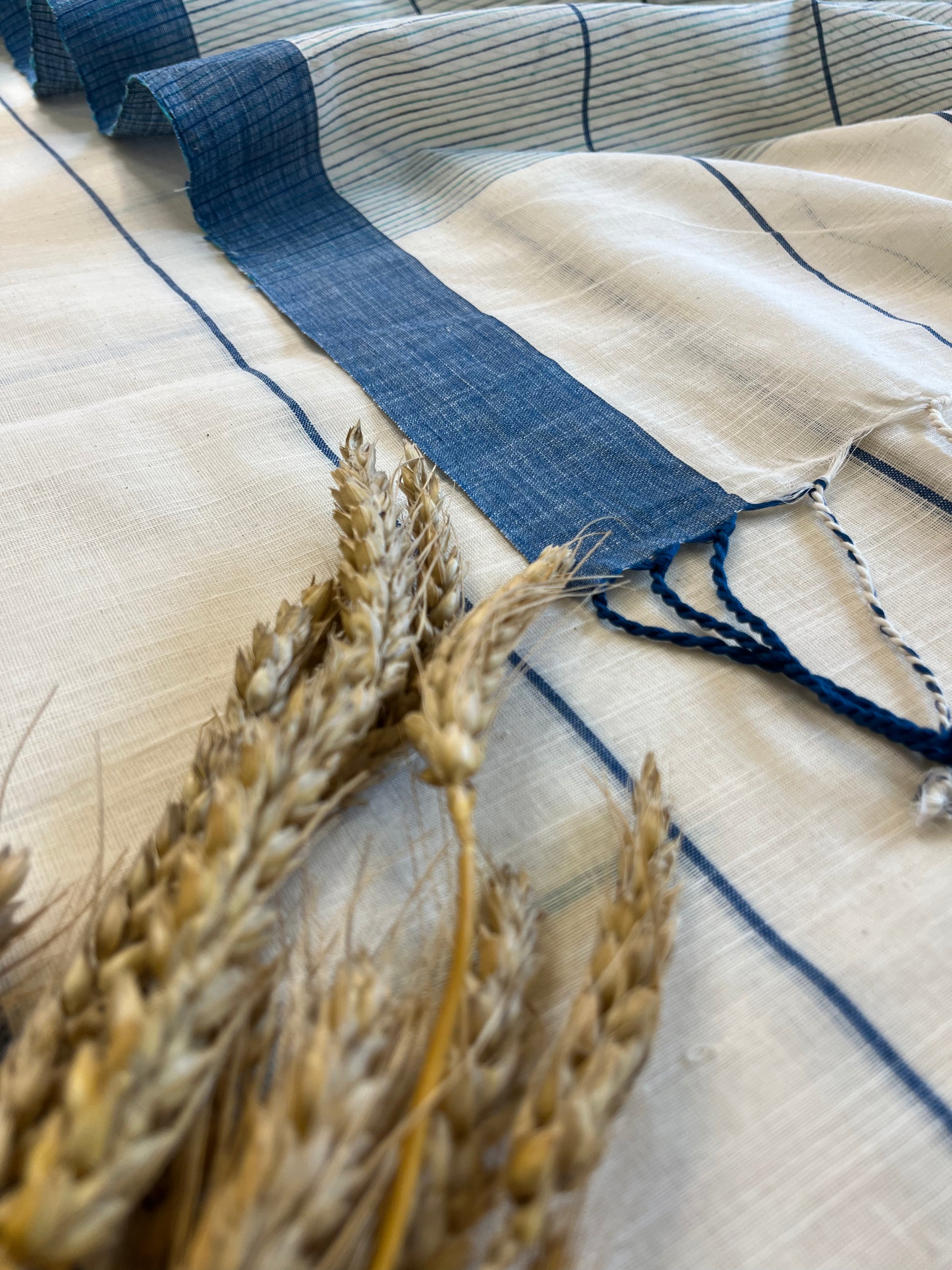 Aegean Dream Cotton Saree - WEVOW