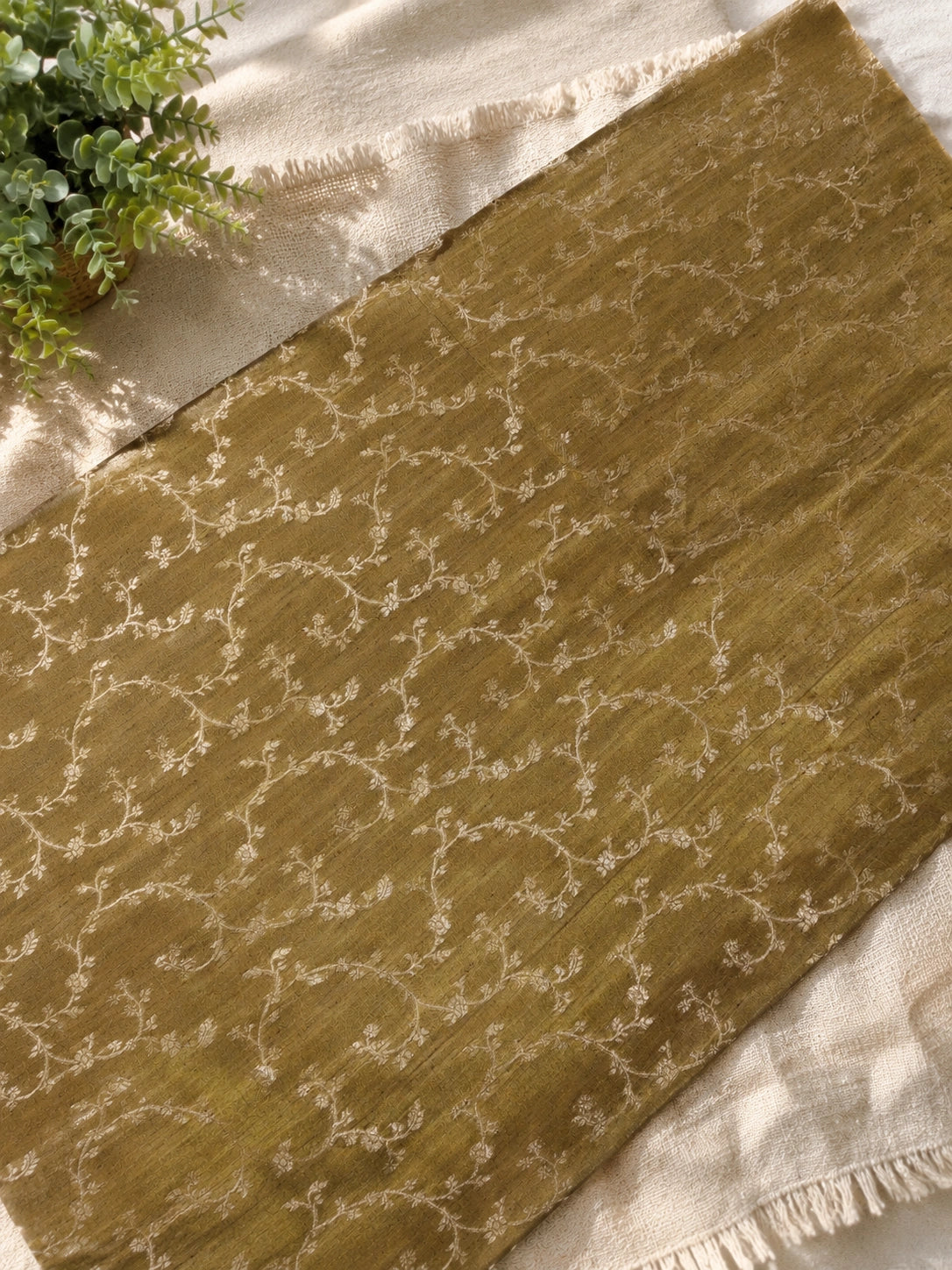 Olive Gold Matka Khaddi Banarasi Saree with Floral Woven Border