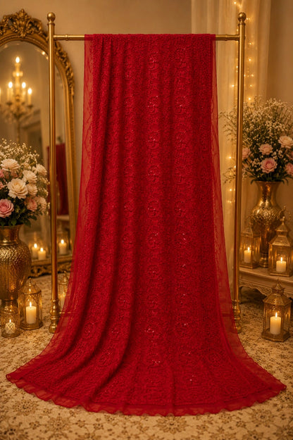 Red Chikankari Scallop Border Saree with Paisley Embroidery & Sequin Work